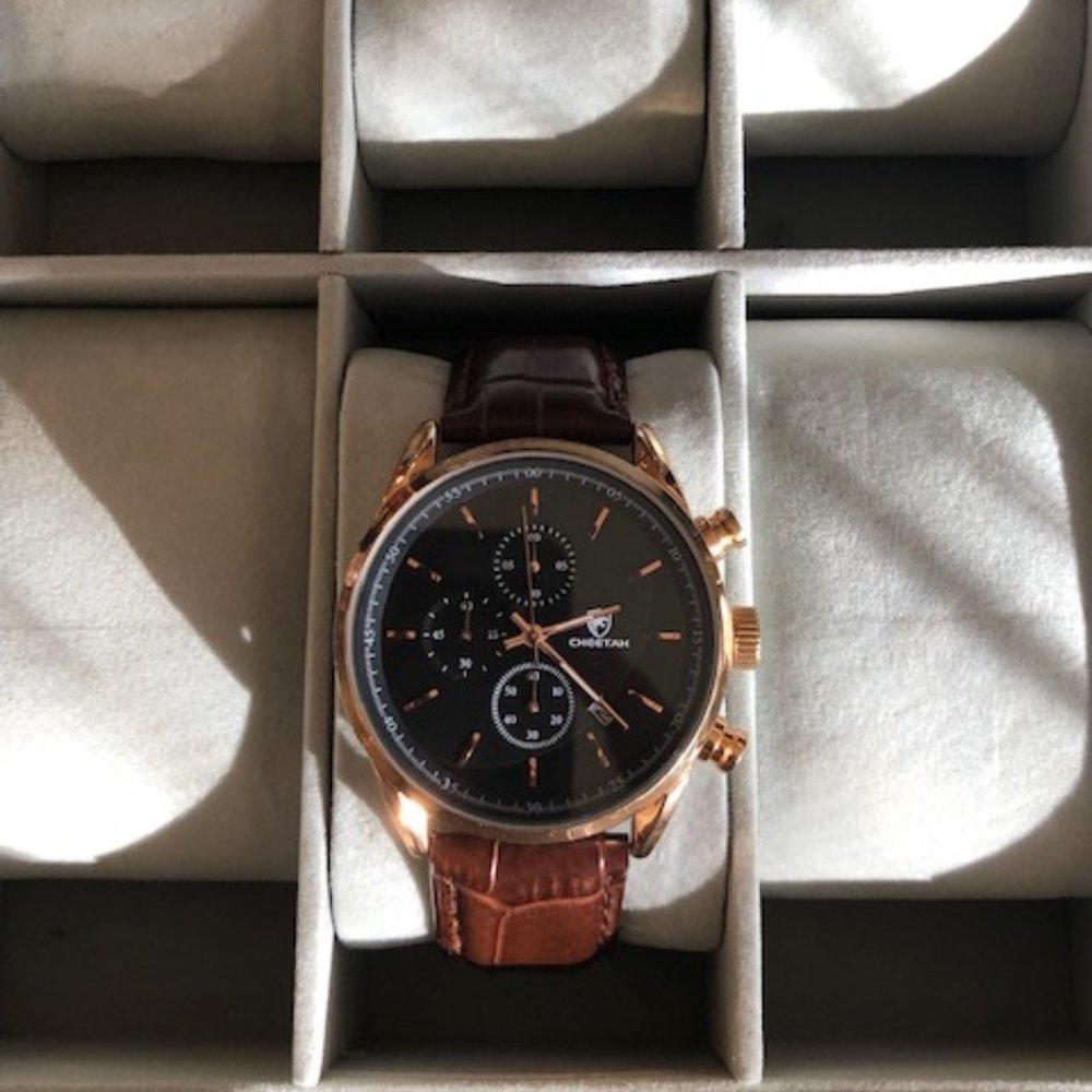 CHEETAH Men's Fashion Business Watch